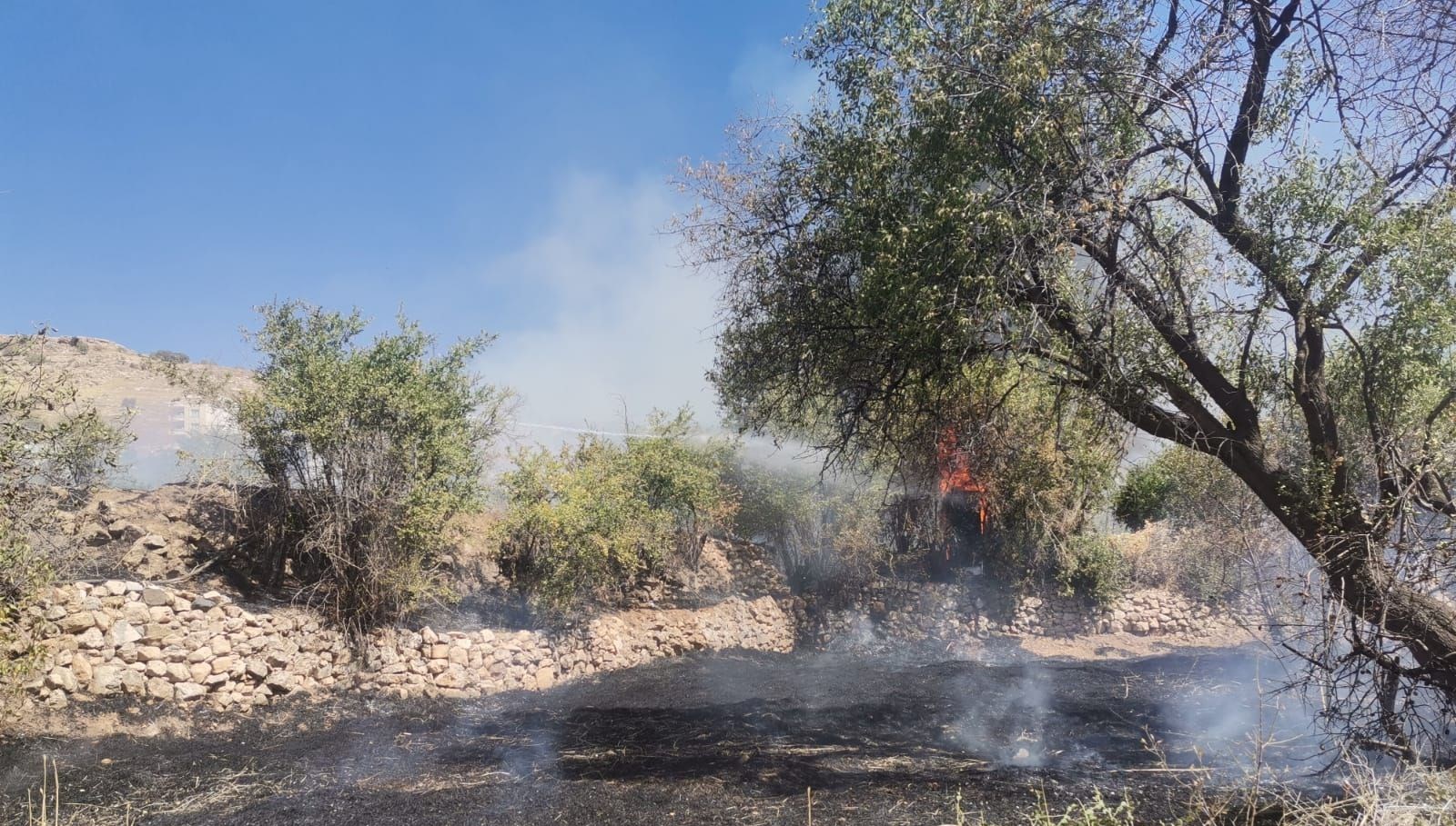 mardinin 2 ilcesinde ortu yangini N3LTiMvj