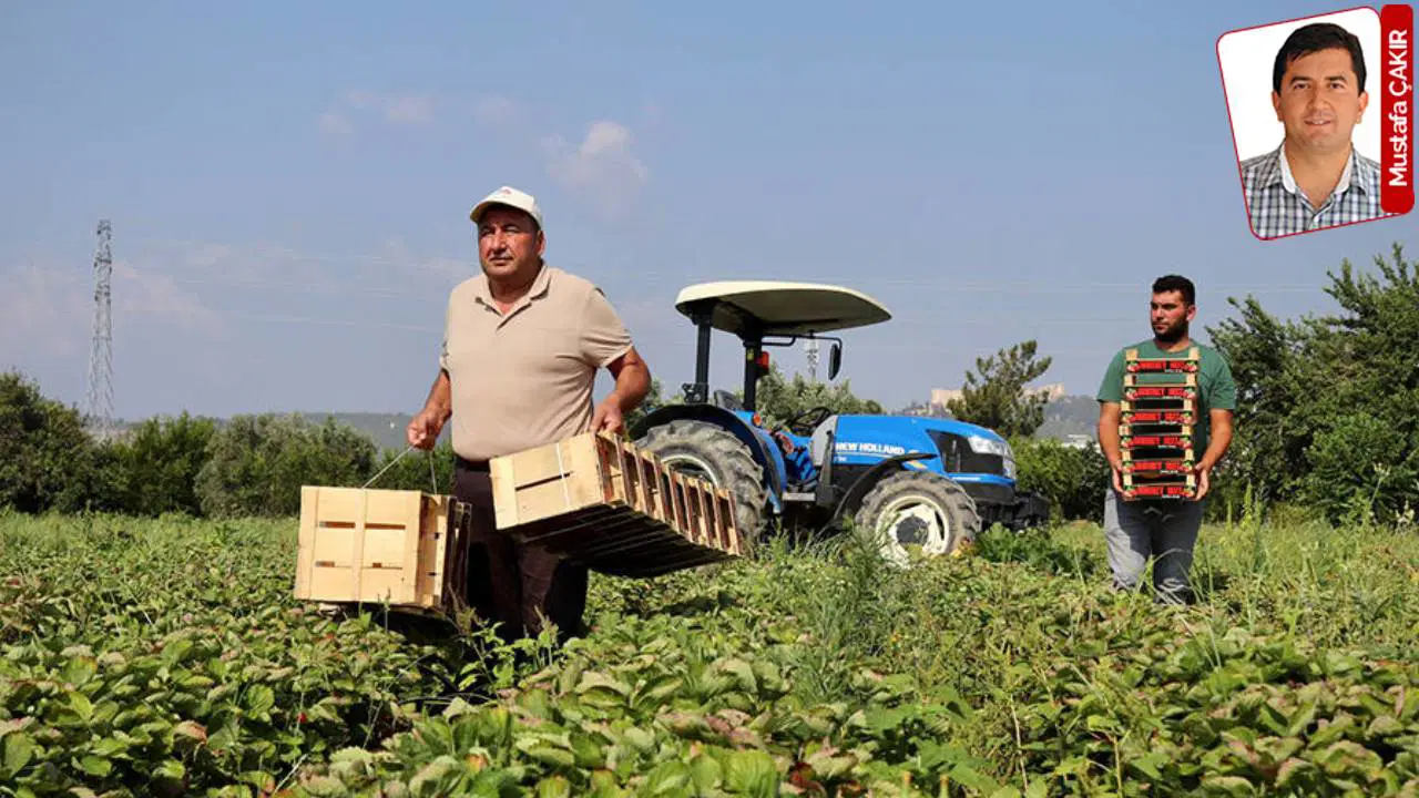 zirai don ile tarim destekleri yetersiz kaldi dag fare dogurdu VgnXR6ic
