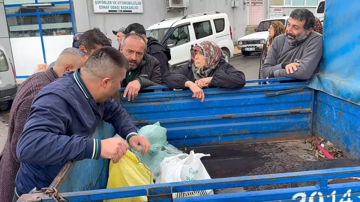 alapli kestanesinde rekolte dususu ve yuksek fiyatlar GtnI2p9m.jpg