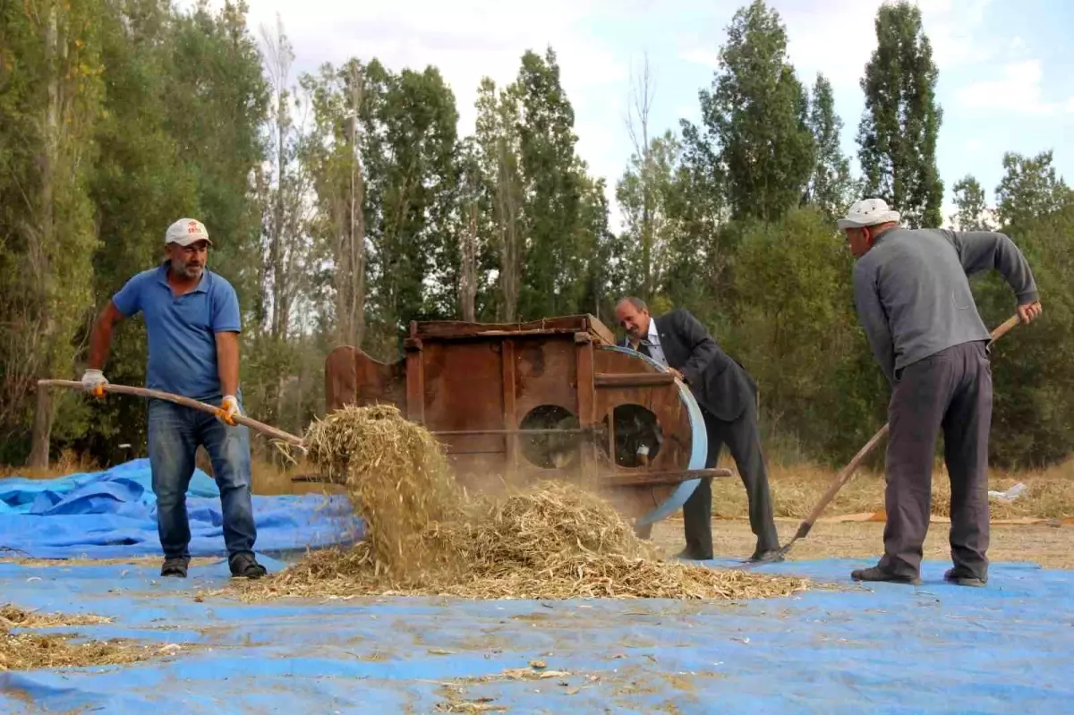 geleneksel yontemlerle kuru fasulye uretiyor 5XIXD5Tm