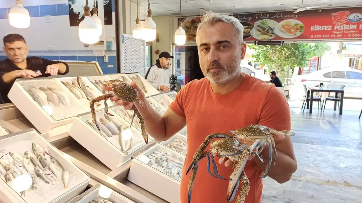 iskenderunda jumbo karides fiyatlari dusuyor QTEeqGtI.jpg