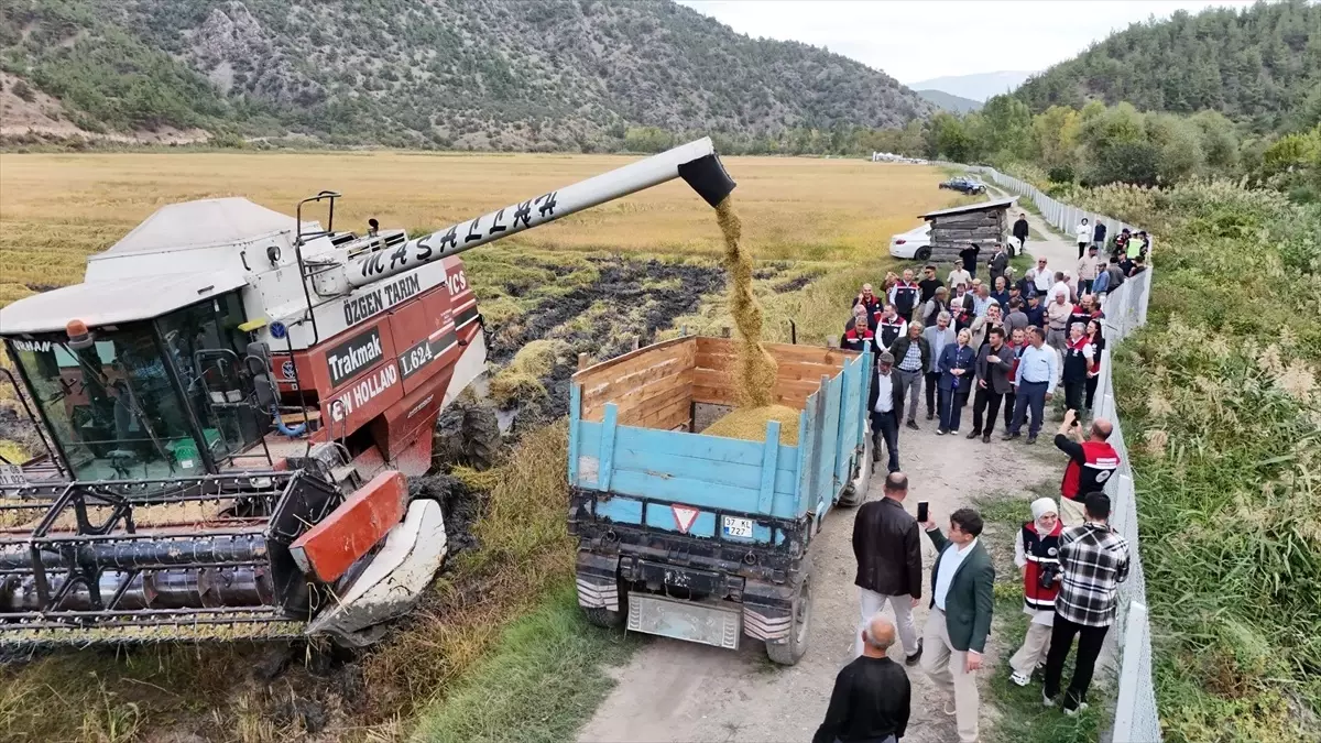 tosyada celtik hasadi yapildi SNKHDJLX