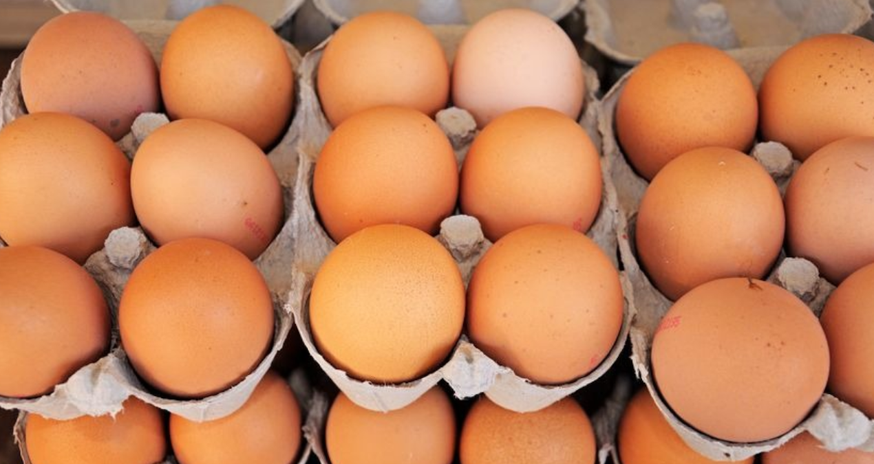 yumurta krizi kapida uretimde sert dusus yJwZKCpp.jpg