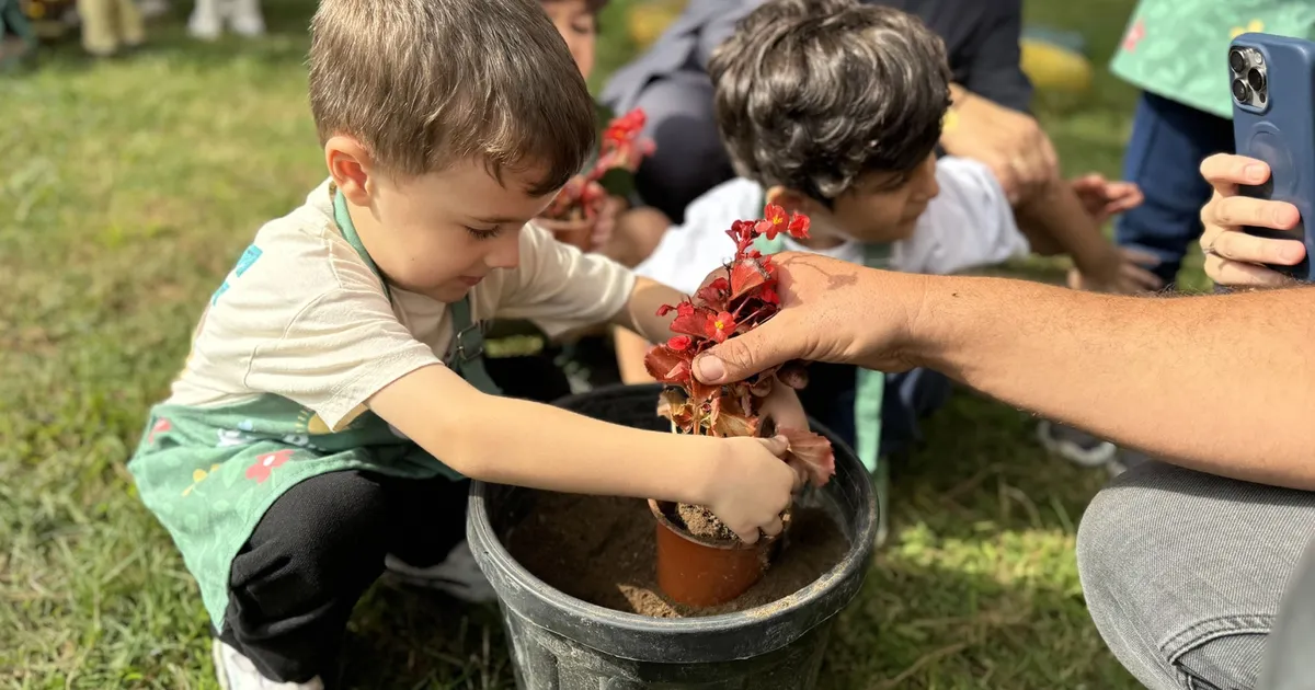 minik eller sakaryada umut ekti gxiJEDgX.webp