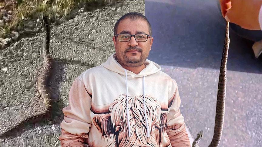 yer kutahya zehirli engerekle olum dansi ben bir delilik yaptim lSkIw3b9.jpg