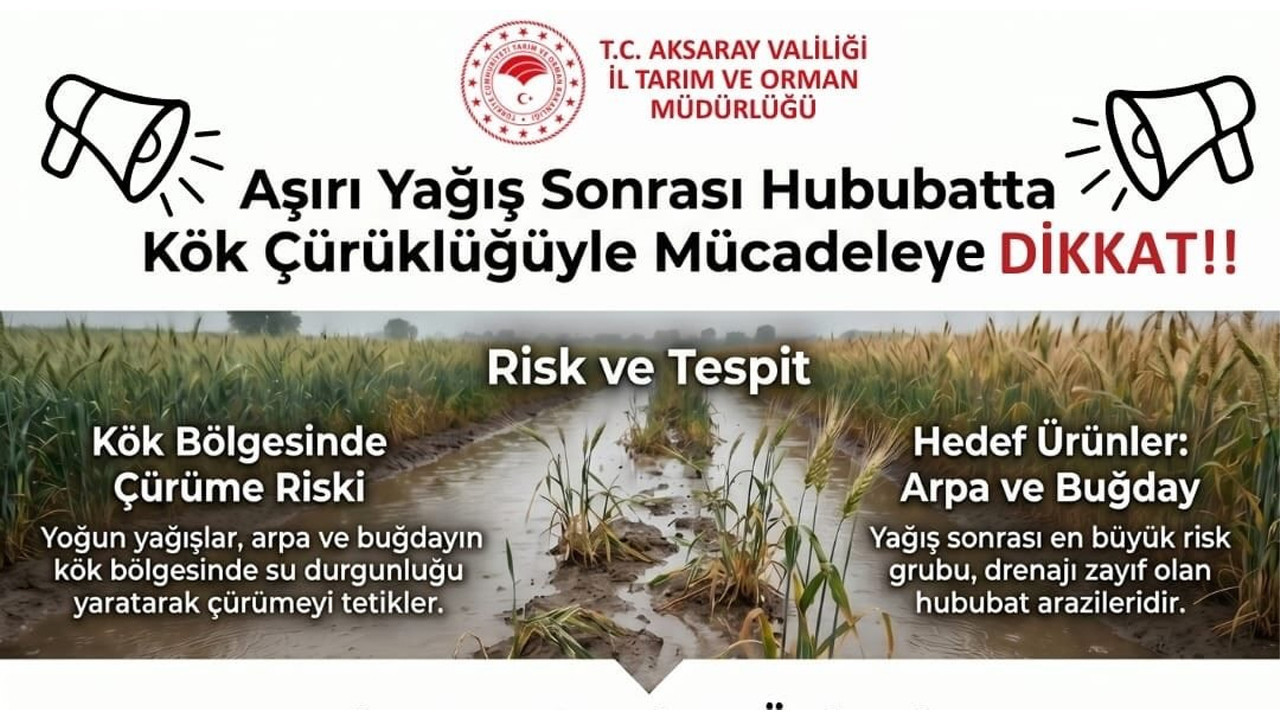 Aksaray’da Aşırı Yağışlar Hububat Üretimini Tehdit Ediyor
