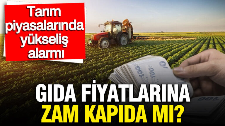 gida-fiyatlarinda-zam-kapida-mi-bugday-gubre-pirincte-yukselis-alarmi-j9r7jfR3