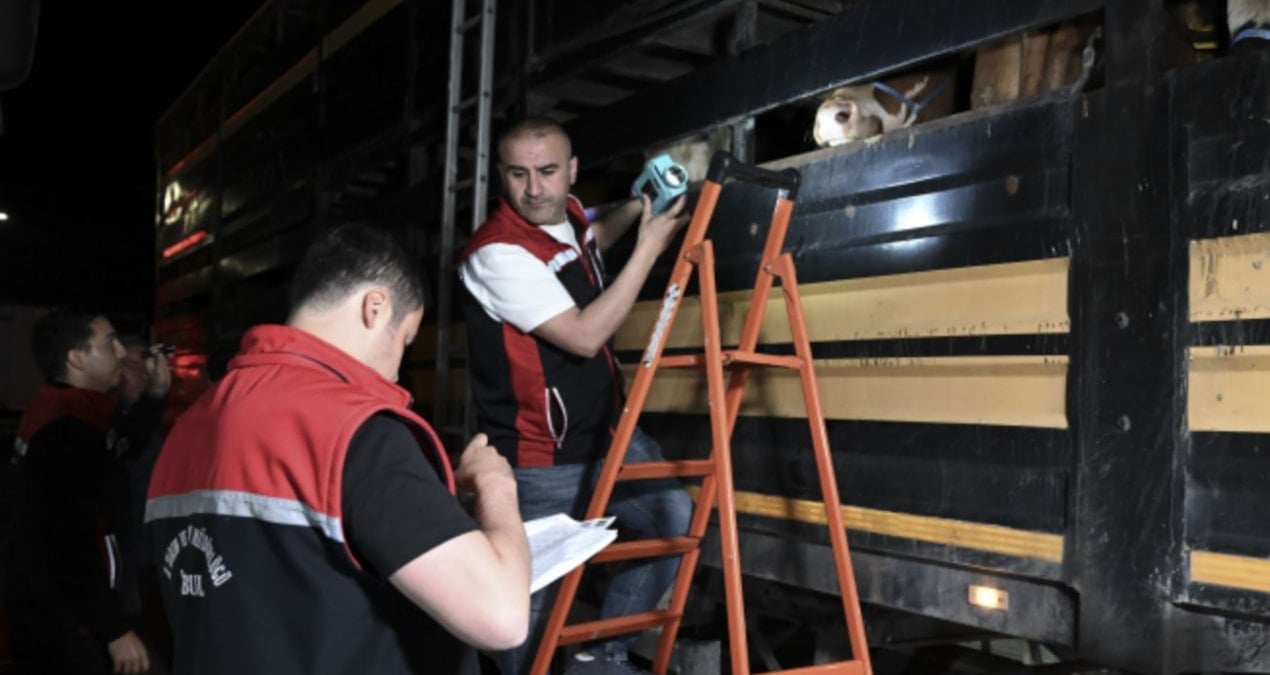 testi-gecemeyen-geri-gonderiliyor-kamyonlar-siralandi-on-binlercesini-istanbula-tasiyor-HwPzfzFm