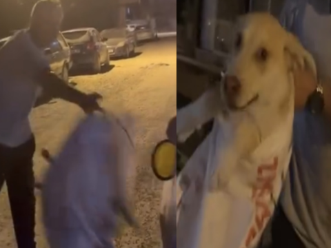 Çuvala koyulan köpeği, hayvansever kadın kurtardı