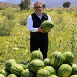 Haber gorseli