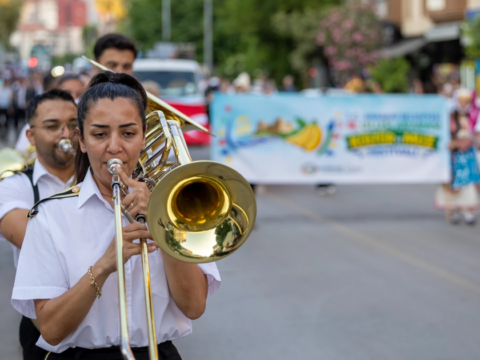 Muz festivali start verdi hvLcIzLd