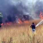 Tekirdagda yangin 20 dekar bugday ekili alan zarar gordu 6iDU86Ld